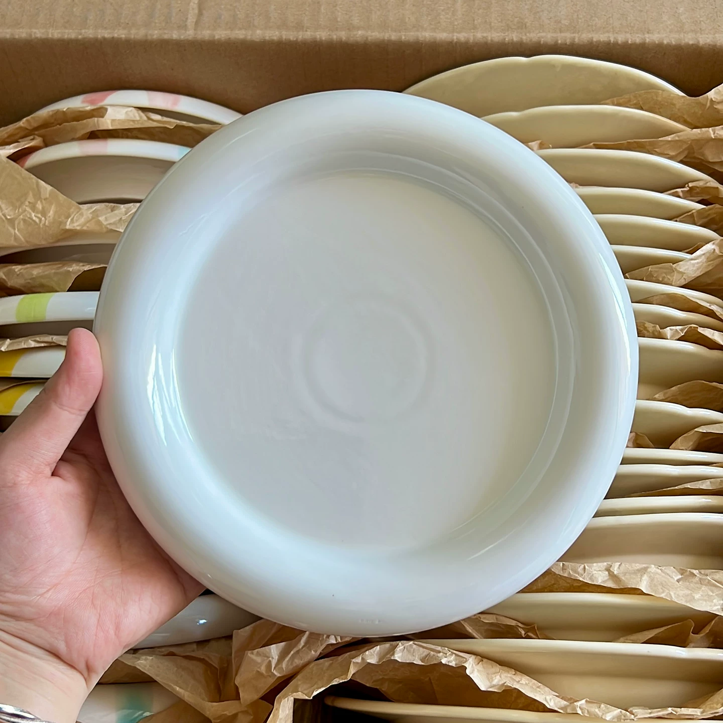 Nordic Thick Rim Ceramic Plate - Minimalist White Tableware